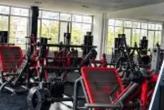 Zona de pesas de Armony Gym